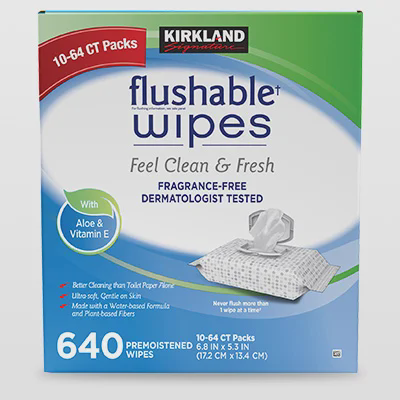 Kirkland Signature Premoistened Flushable Wipes, Fragrance Free, 640-Count